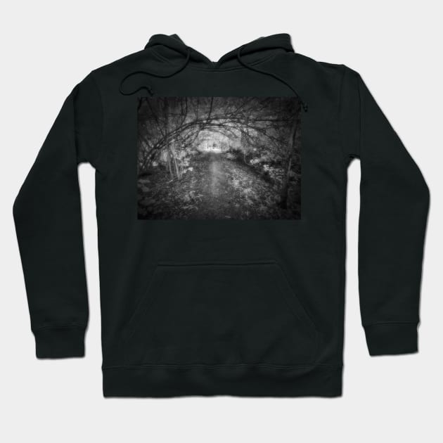 Silver Path Hoodie by MattNQ